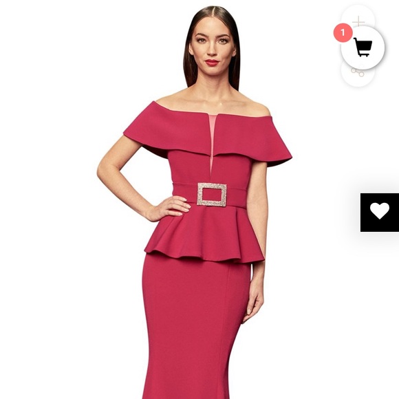 Alexander Daymor evening gown...MOTHER OF THE BRIDE! Worn once! - Picture 8 of 11